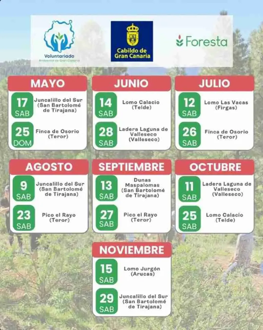 cartel 30