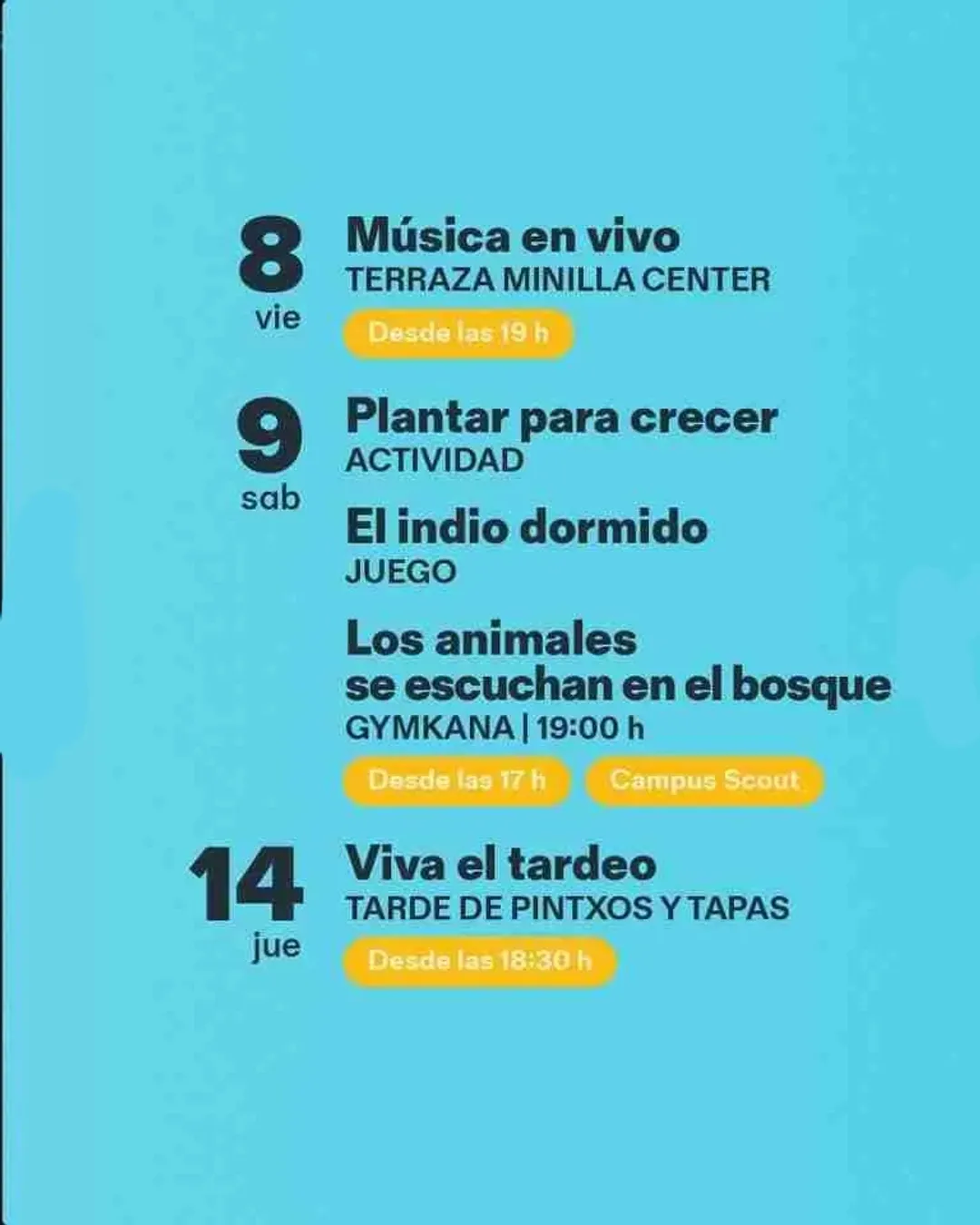 flyer 17